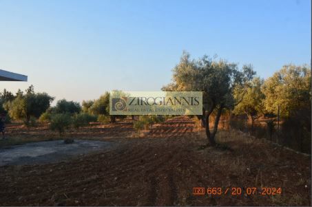 Land plot 10.000sqm for sale-Nea Makri