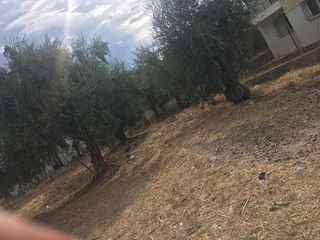 Οικόπεδο 389 τ.μ. για πώληση, Αχαΐα, Πάτρα-thumb-1