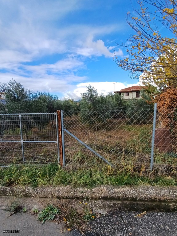 Οικόπεδο 709 τ.μ. για πώληση, Μεσσηνία, Νέστορας