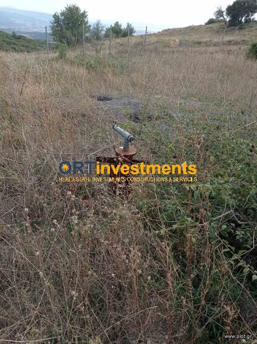 Μονοκατοικία 390 τ.μ. πρός πώληση, Θεσσαλονίκη - Περιφ/Κοί Δήμοι, Μυγδονία