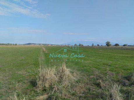 Αγροτεμάχια 45.000τ.μ. για πώληση-Λάρισσος » Λακκόπετρα