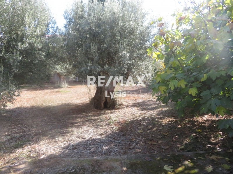 Οικόπεδο 663 τ.μ. προς πώληση, Κάντζα