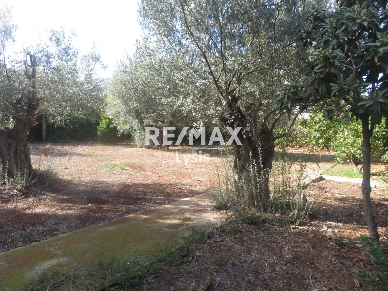 Οικόπεδο 663 τ.μ. προς πώληση, Κάντζα