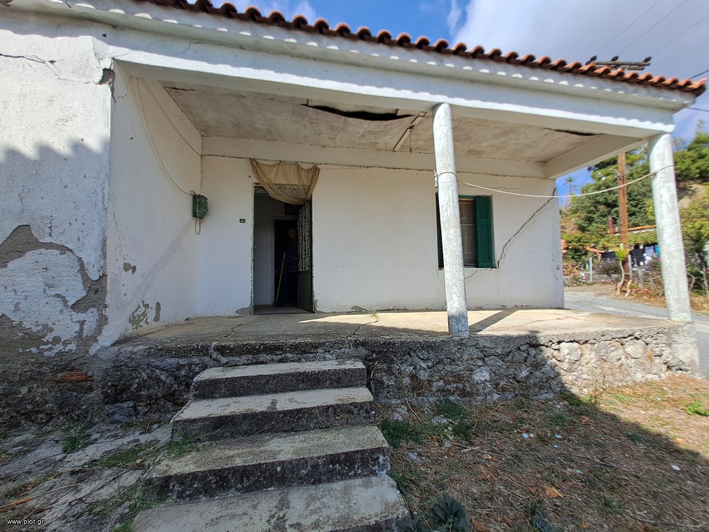 Μονοκατοικία 60 τ.μ. προς πώληση, Δρυμώνα