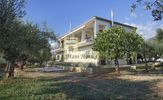 Μονοκατοικία 350τ.μ. για πώληση-Λεύκτρος » Προάστιο