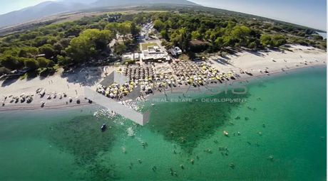Οικόπεδο 11.000τ.μ. για πώληση-Λιτόχωρο