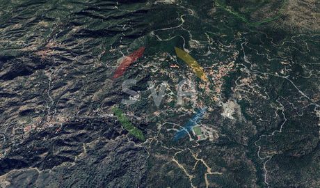 Αγροτεμάχια 12.116τ.μ. για πώληση-