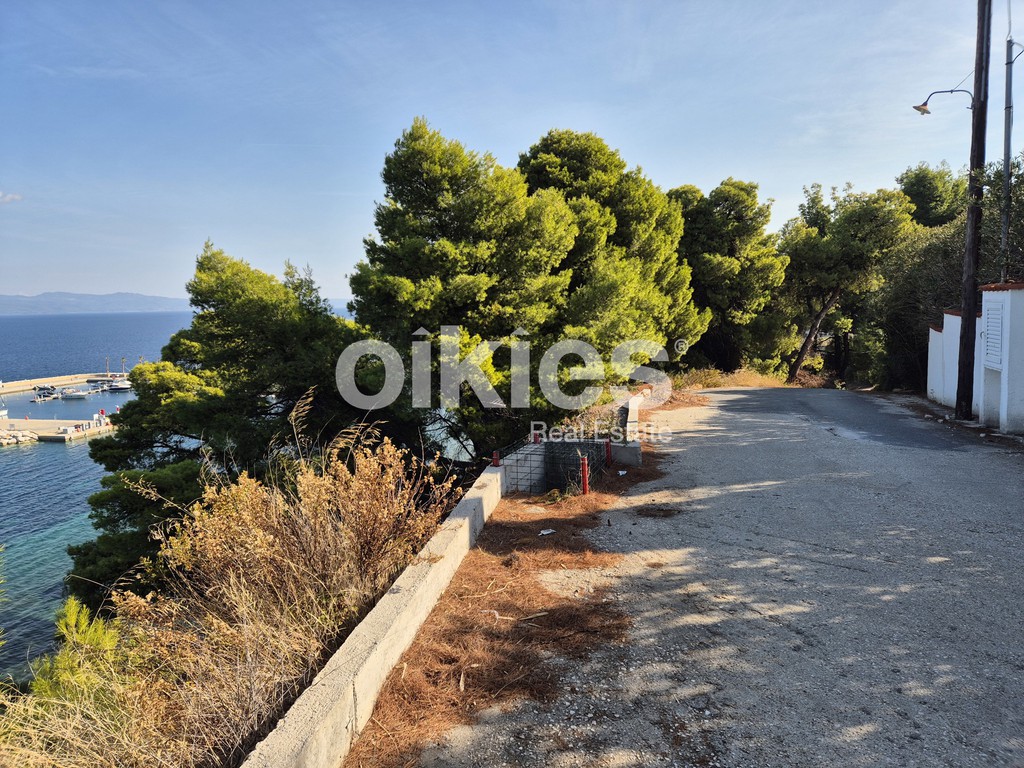 Αγροτεμάχια 6.513 τ.μ. πρός πώληση, Χαλκιδική, Παλλήνη