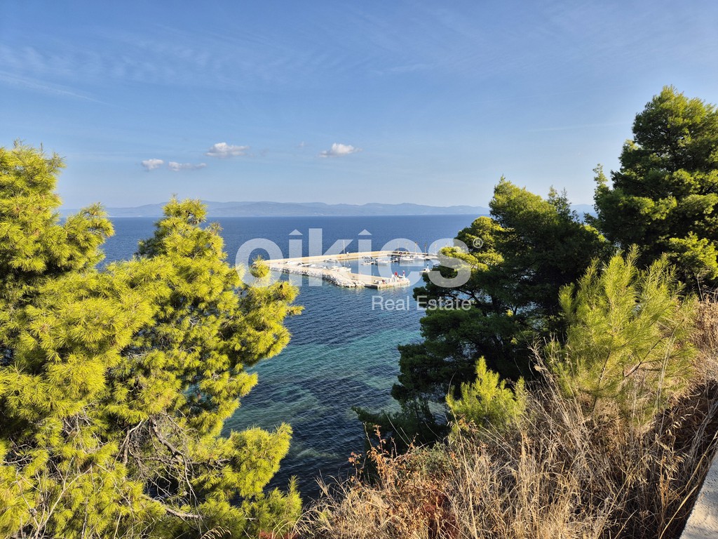 Αγροτεμάχια 6.513 τ.μ. πρός πώληση, Χαλκιδική, Παλλήνη