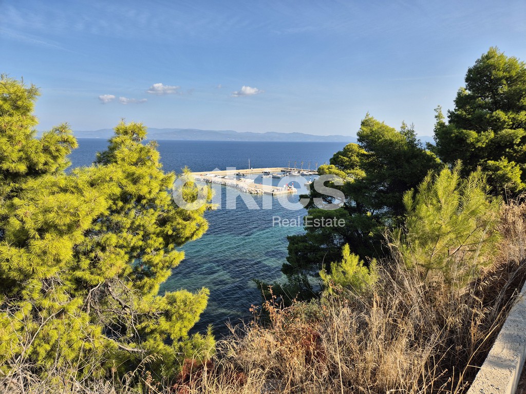 Αγροτεμάχια 6.513 τ.μ. πρός πώληση, Χαλκιδική, Παλλήνη
