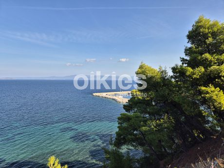 Αγροτεμάχια 6.513τ.μ. για πώληση-Παλλήνη