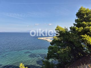 Αγροτεμάχια 6.513 τ.μ. για πώληση