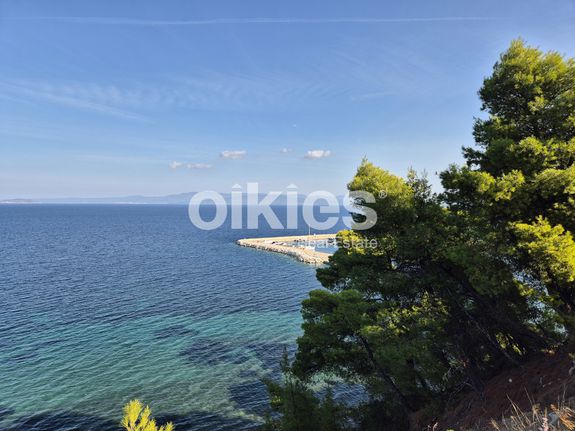 Αγροτεμάχια 6.513 τ.μ. για πώληση, Χαλκιδική, Παλλήνη