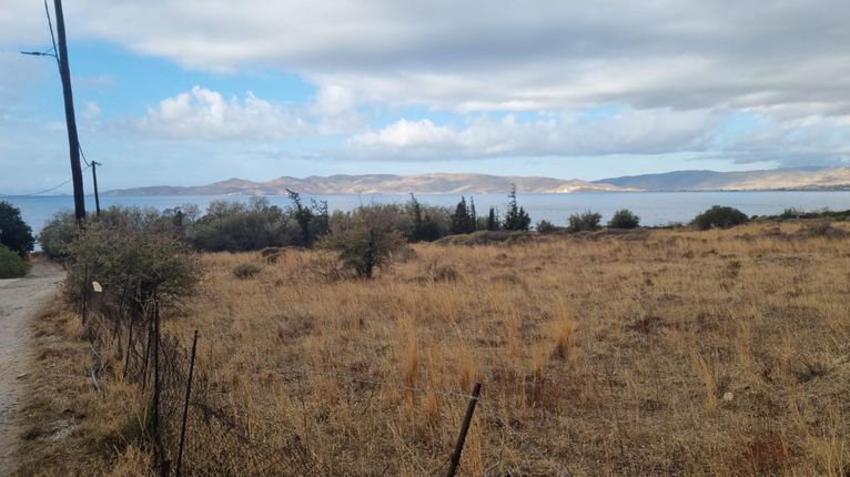 Land plot 4.000 sqm for sale, Evia, Karistos