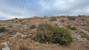 Οικόπεδο 8.000τ.μ. για πώληση-Κάρυστος