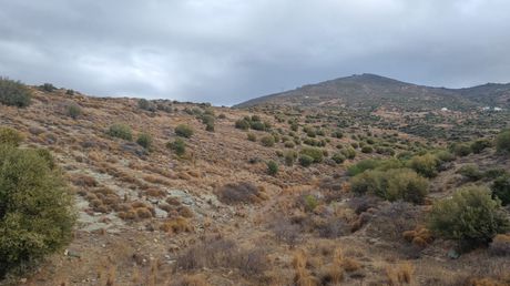 Land plot 30.000sqm for sale-Karistos