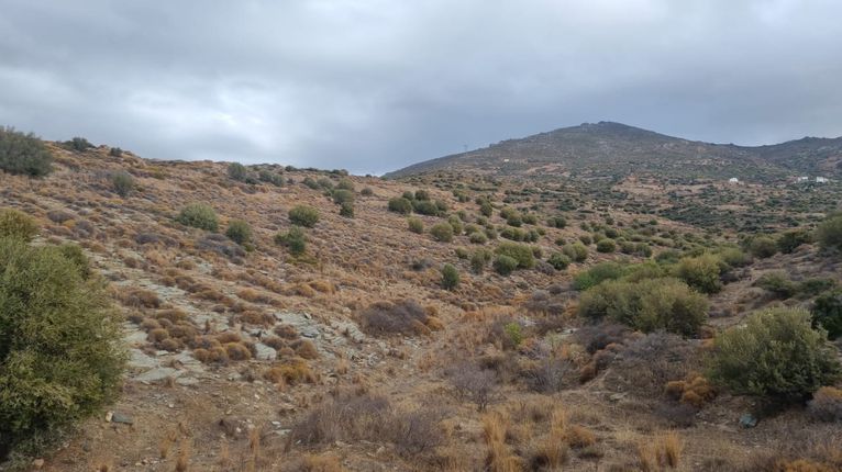 Οικόπεδο 30.000 τ.μ. για πώληση, Εύβοια, Κάρυστος