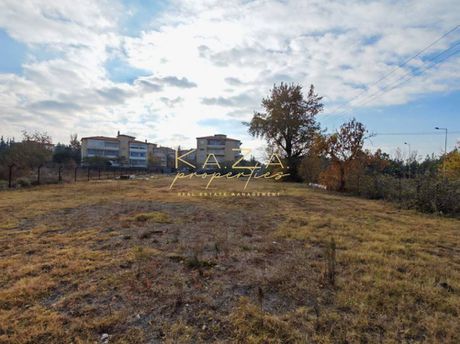 Άλλο 2.500τ.μ. για ενοικίαση-Εχέδωρος » Διαβατά