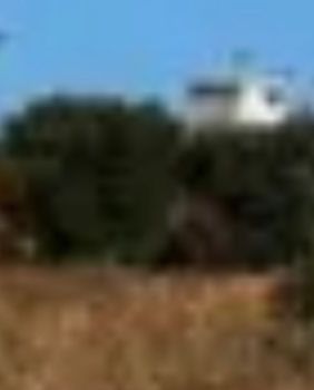 Οικόπεδο 442τ.μ. για πώληση-Βούλα » Ευρυάλη
