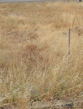 Land plot 471sqm for sale-Glyfada » Aixoni