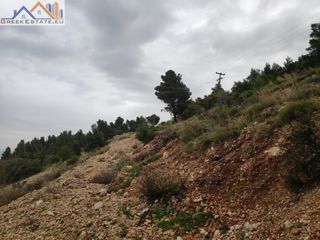 Αγροτεμάχια 4.200 τ.μ. για πώληση, Ν. Λευκάδας, Λευκάδα-thumb-9