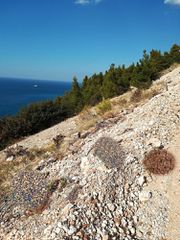 Αγροτεμάχια 4.200 τ.μ. για πώληση, Ν. Λευκάδας, Λευκάδα-thumb-1