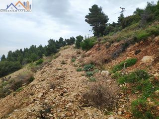 Αγροτεμάχια 4.200 τ.μ. για πώληση, Ν. Λευκάδας, Λευκάδα-thumb-12
