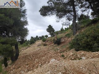 Αγροτεμάχια 4.200 τ.μ. για πώληση, Ν. Λευκάδας, Λευκάδα-thumb-6