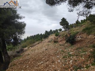 Αγροτεμάχια 4.200 τ.μ. για πώληση, Ν. Λευκάδας, Λευκάδα-thumb-5