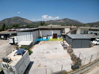 Κατάστημα 419 τ.μ. για πώληση, Αργολίδα, Άργος-thumb-4