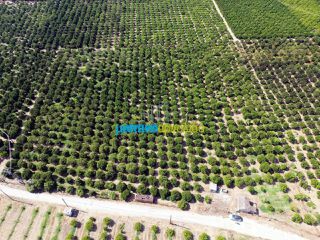 Αγροτεμάχια 16.000 τ.μ. για πώληση, Αργολίδα, Άργος-thumb-2