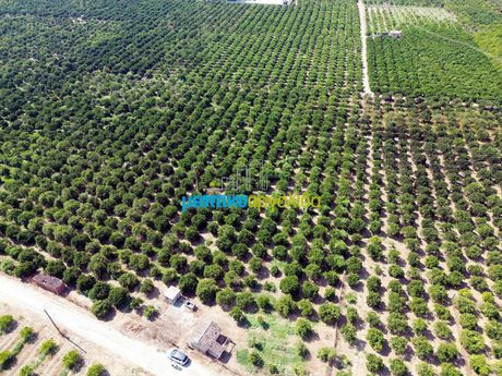 Parcel 16.000sqm for sale-Argos