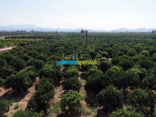Αγροτεμάχια 16.000 τ.μ. για πώληση, Αργολίδα, Άργος-thumb-14