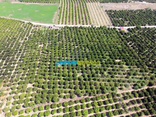 Αγροτεμάχια 16.000 τ.μ. για πώληση, Αργολίδα, Άργος-thumb-4