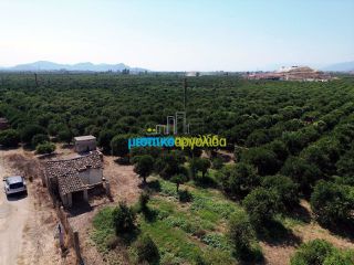 Αγροτεμάχια 16.000 τ.μ. για πώληση, Αργολίδα, Άργος-thumb-15