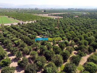 Αγροτεμάχια 16.000 τ.μ. για πώληση, Αργολίδα, Άργος-thumb-10