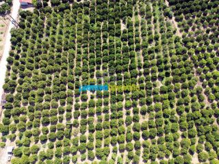 Αγροτεμάχια 16.000 τ.μ. για πώληση, Αργολίδα, Άργος-thumb-8