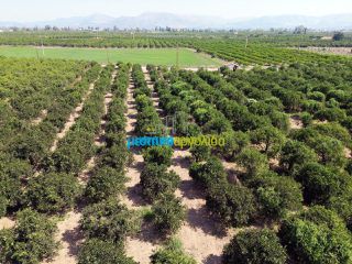 Αγροτεμάχια 16.000 τ.μ. για πώληση, Αργολίδα, Άργος-thumb-12