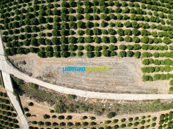 Οικόπεδο 1.810 τ.μ. για πώληση, Αργολίδα, Κουτσοπόδι