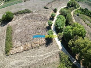 Αγροτεμάχια 2.824 τ.μ. για πώληση, Αργολίδα, Άργος-thumb-3