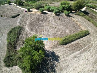 Αγροτεμάχια 2.824 τ.μ. για πώληση, Αργολίδα, Άργος-thumb-1