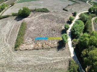 Αγροτεμάχια 2.824 τ.μ. για πώληση, Αργολίδα, Άργος-thumb-4