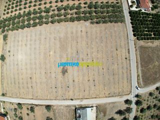 Οικόπεδο 1.000 τ.μ. για πώληση, Αργολίδα, Μυκήνες-thumb-1