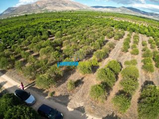 Αγροτεμάχια 4.924 τ.μ. για πώληση, Αργολίδα, Μιδέα-thumb-5