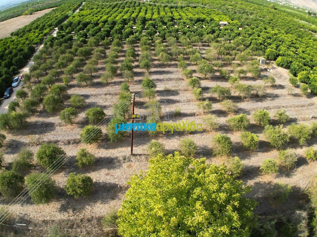 Αγροτεμάχια 4.924 τ.μ. προς πώληση, Αργολίδα, Μιδέα