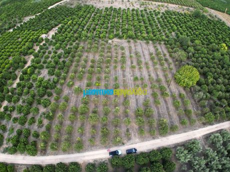 Parcel 4.939sqm for sale-Midea