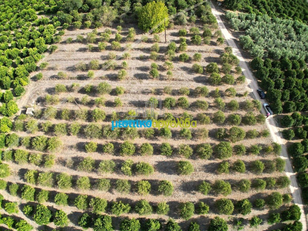 Αγροτεμάχια 4.924 τ.μ. προς πώληση, Αργολίδα, Μιδέα