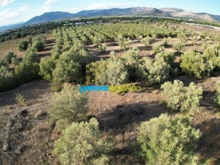 Αγροτεμάχια 2.992 τ.μ. για πώληση, Αργολίδα, Μιδέα-thumb-3