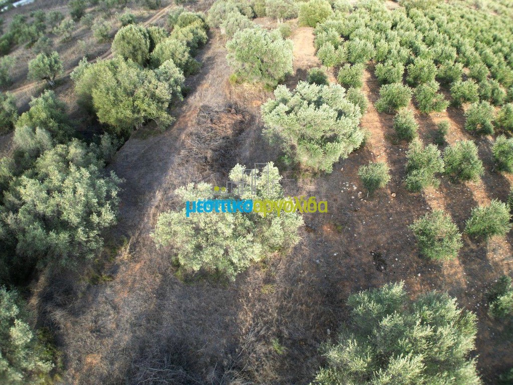Αγροτεμάχια 2.992 τ.μ. προς πώληση, Αργολίδα, Μιδέα