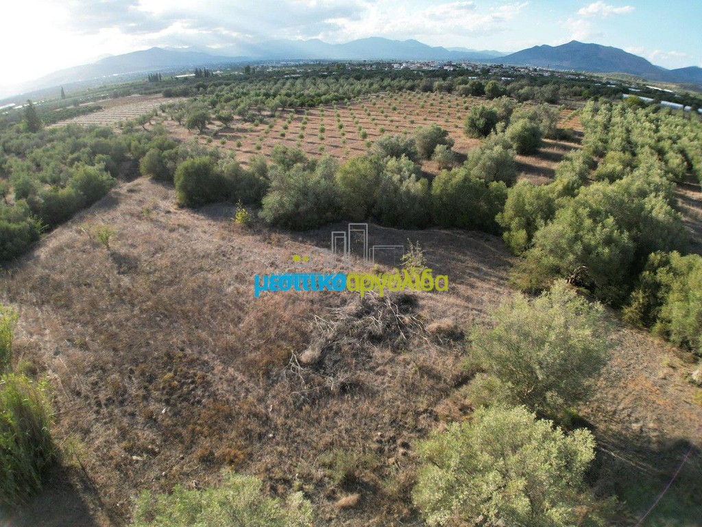Αγροτεμάχια 2.992 τ.μ. για πώληση, Αργολίδα, Μιδέα